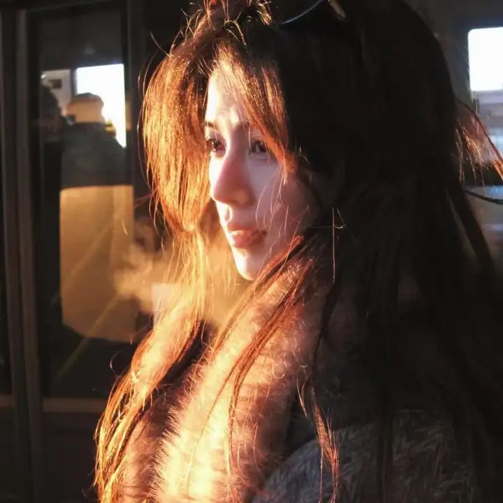 消失文明的编年史